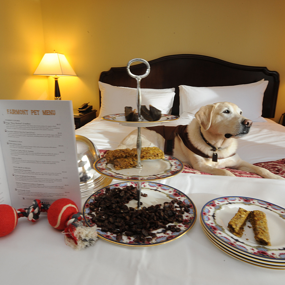 DogInRoomDining.jpg