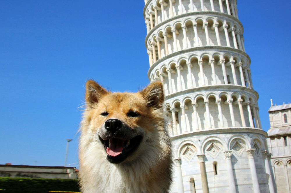 LeaningTower.jpg